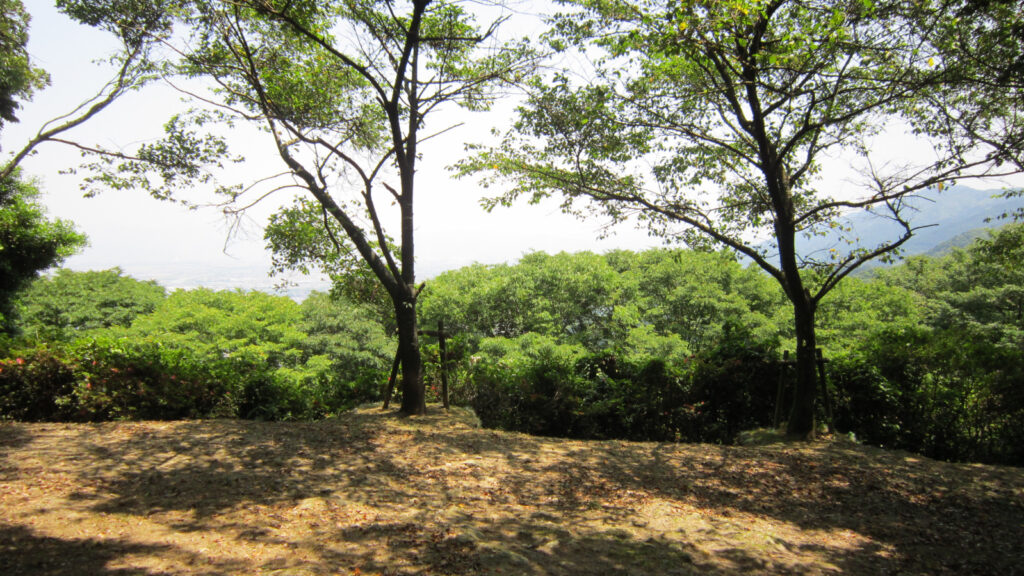 久留米森林つつじ公園の遊歩道