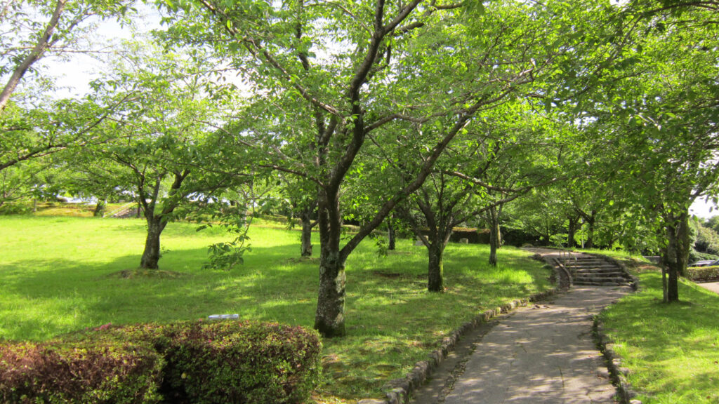 浦山公園のツツジ・サクラ園