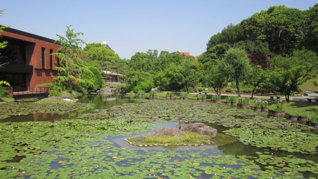 石橋文化センターの池