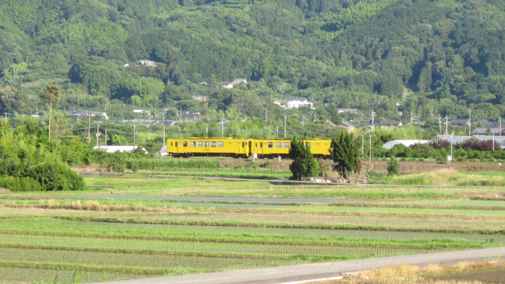 久留米市善導寺町を走る列車