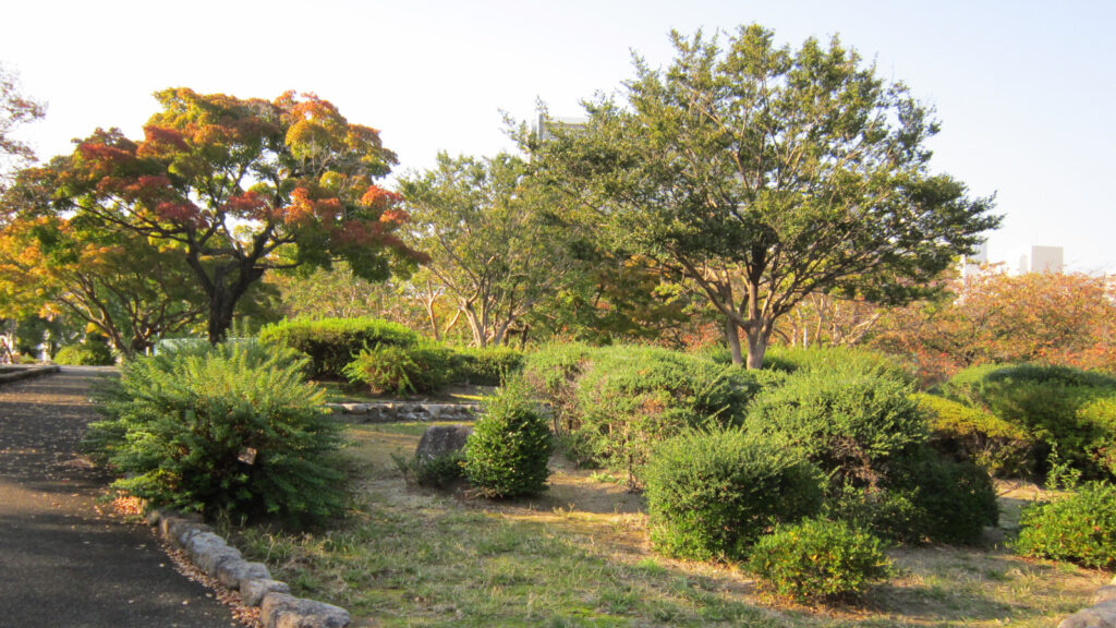 小頭町公園の樹木