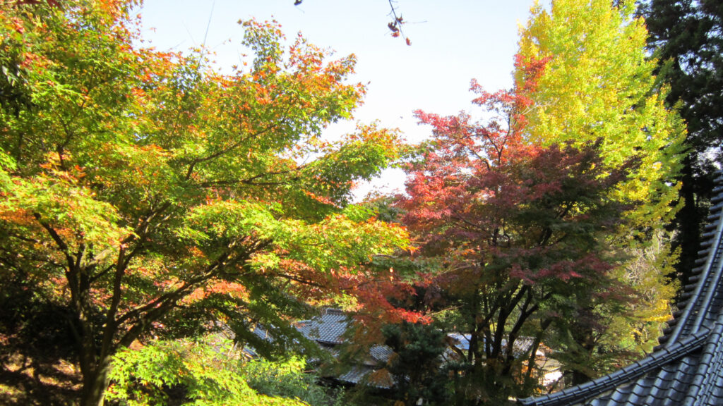 久留米市の永勝寺(3)