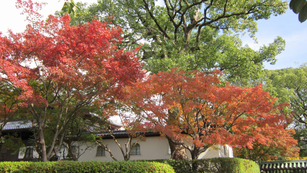 梅林寺の紅葉(3)