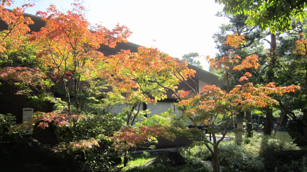 石橋文化センターの紅葉(1)