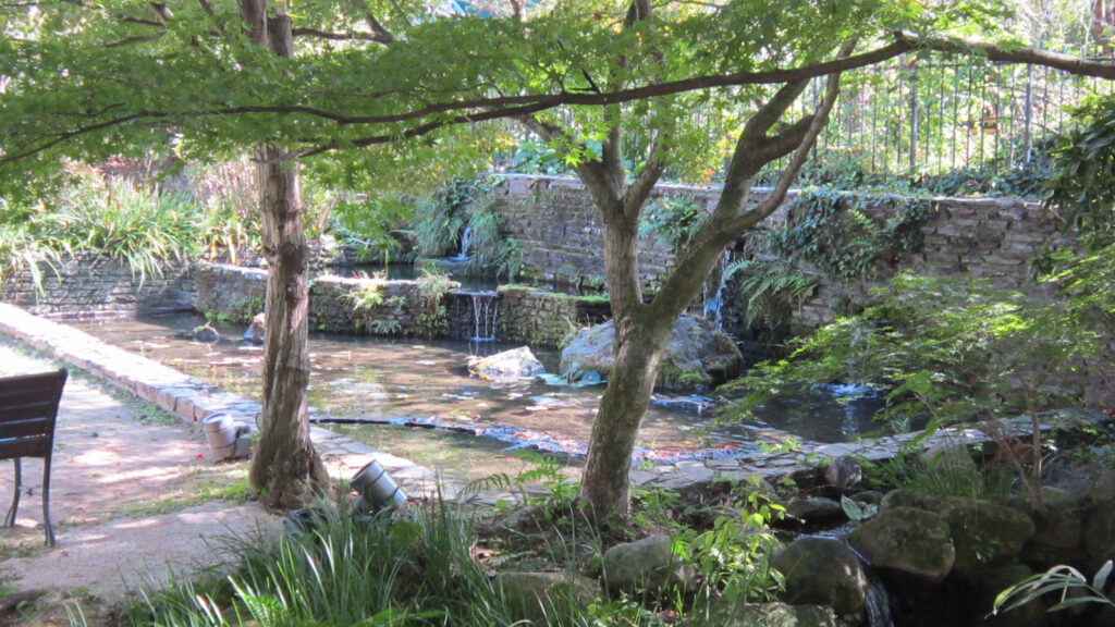 石橋文化センターの日本庭園(1)