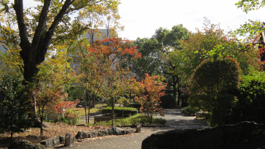 石橋文化センターの紅葉(2)