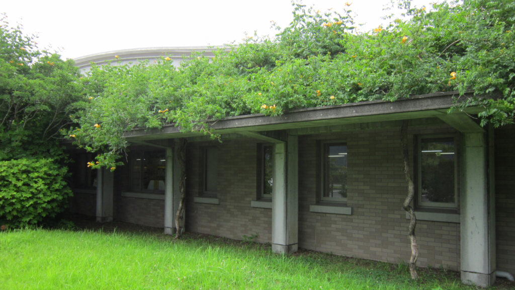 田主丸図書館