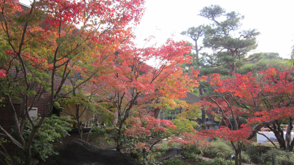 石橋文化センターの紅葉(1)