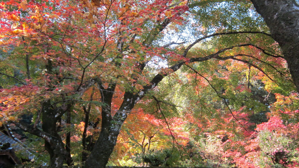 久留米市の永勝寺(1)