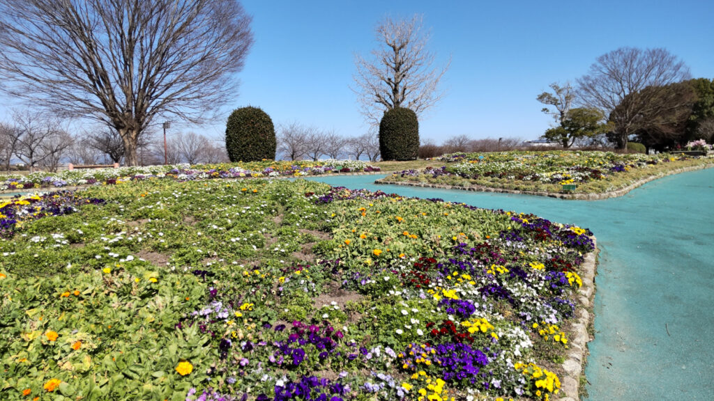 久留米百年公園の花壇