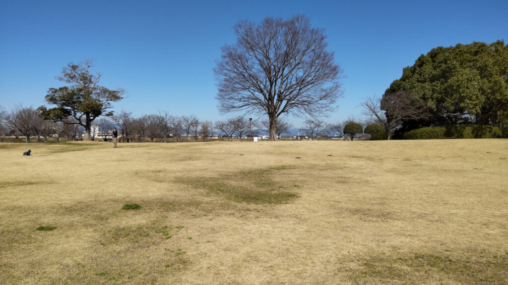 久留米百年公園の芝生広場