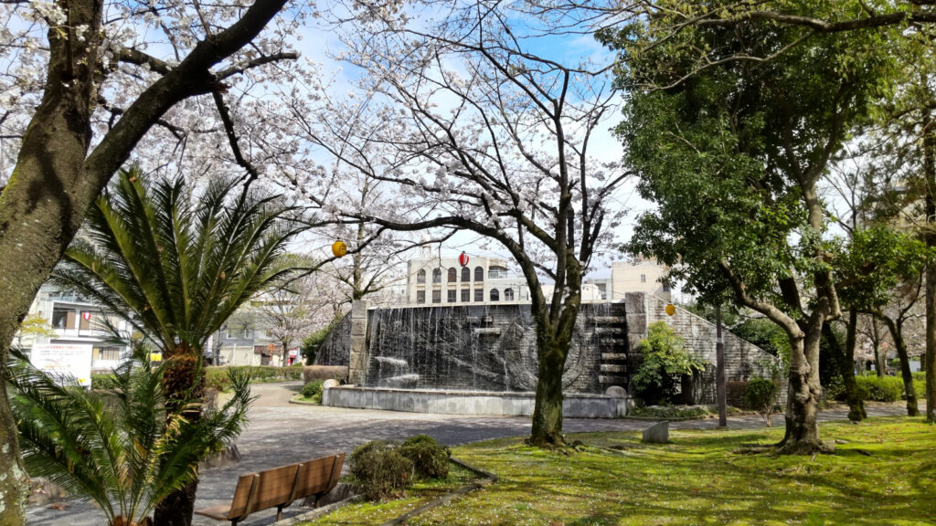 久留米・三本松公園の桜(1)