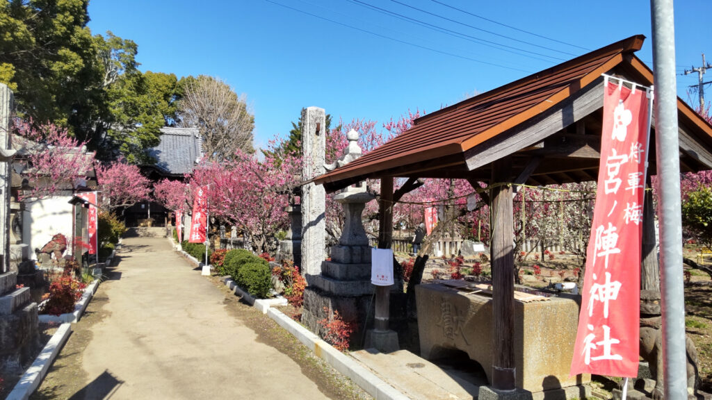 宮ノ陣神社の梅(1)