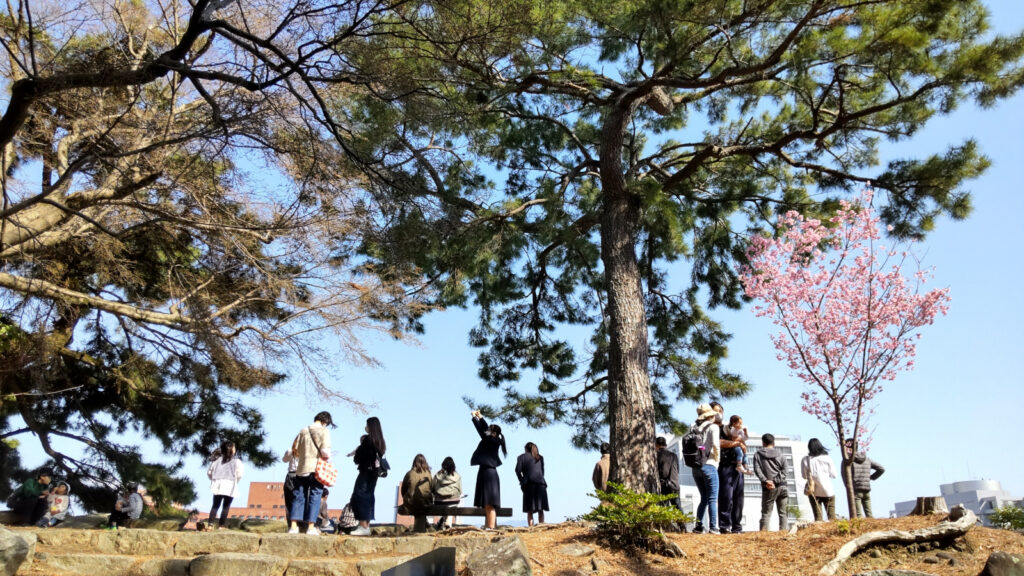 久留米城跡の桜(3)