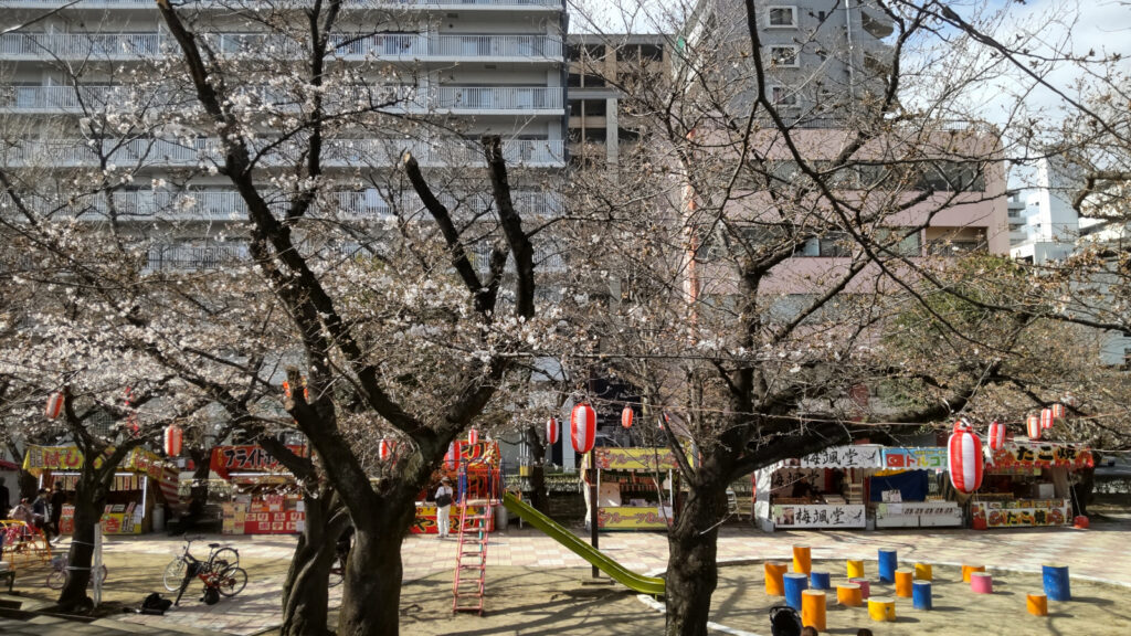 久留米・小頭町公園の桜(1)