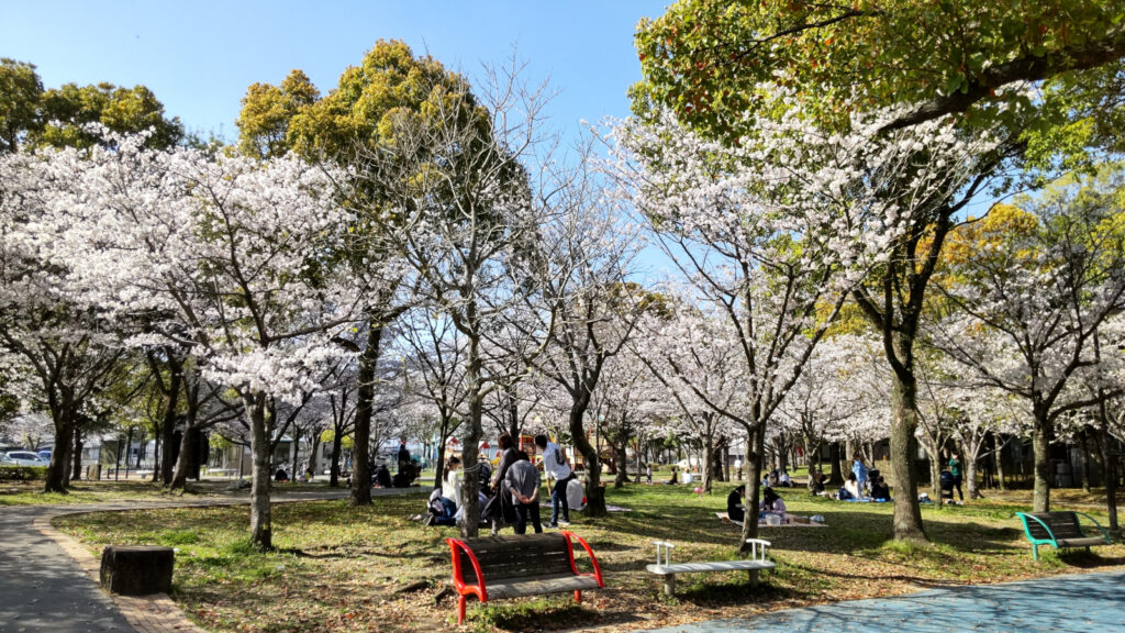 久留米・水沼の里2000年記念の森の桜(4)