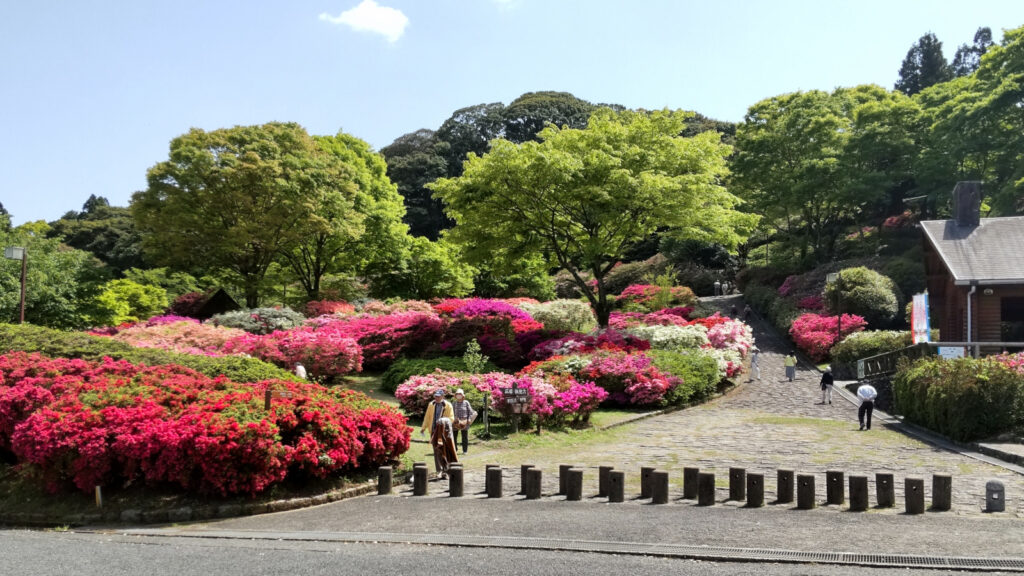 久留米森林つつじ公園(1)