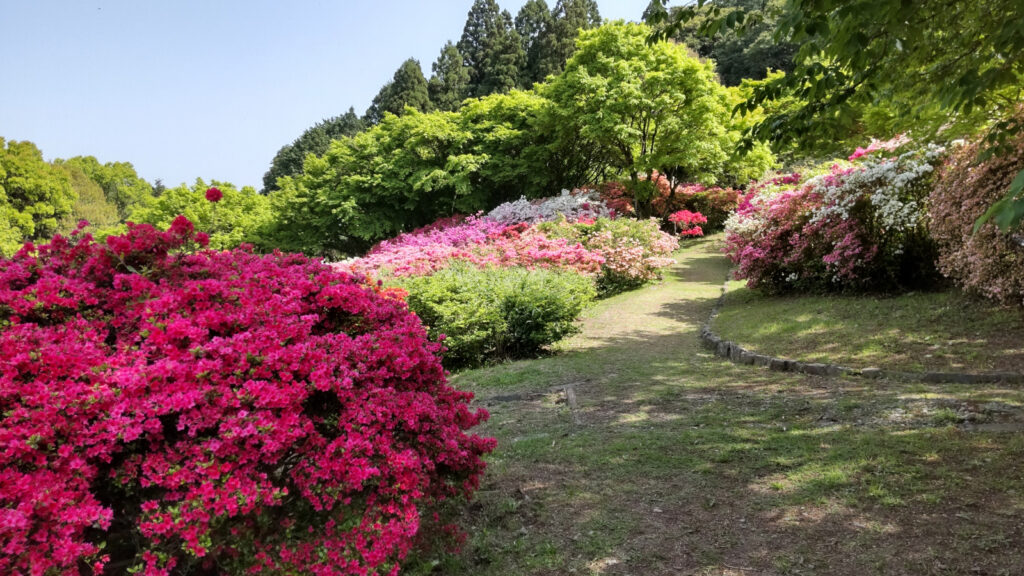 久留米森林つつじ公園(2)