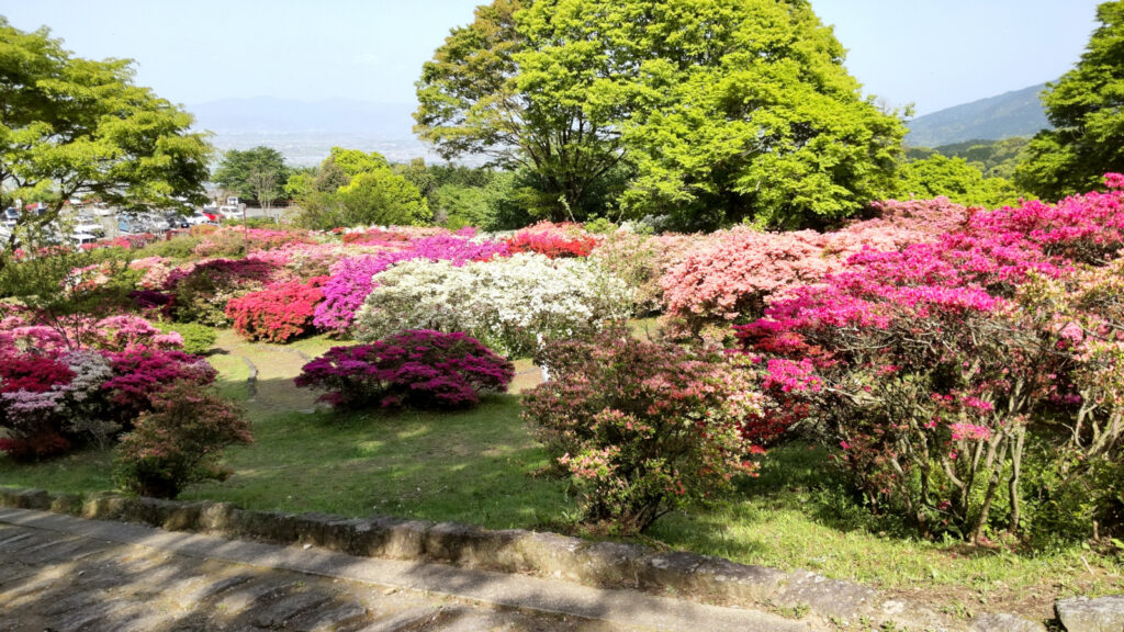 久留米森林つつじ公園(3)